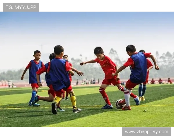 小孩子玩足球的价格是多少影响了家长购买决策的因素分析